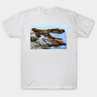 California Rocks in the Sea T-Shirt